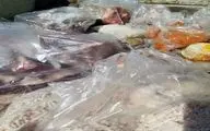 
شناسایی متخلفان سالن های غذاخوری در کرمانشاه/ بیش از 110 کیلوگرم گوشت غیربهداشتی کشف شد