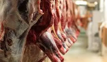  واردات گوشت از 31 کشور جهان/ توزیع فقط در تهران