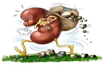 چند دلیل برای ابتلا به سنگ کلیه از دیدگاه طب‌سنتی