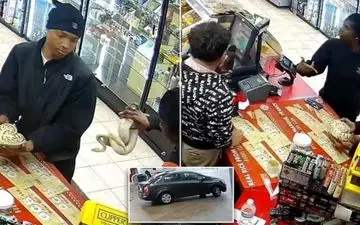 سرقت عجیب با مارهای پیتون از یک پمپ بنزین