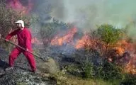 آتش سوزی دوباره در تالاب میانکاله 