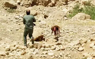 خطری که جان محیط بانان را تهدید می کند + فیلم