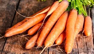 قیمت هویج روند نزولی گرفت 