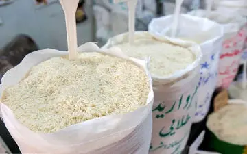 قیمت برنج نصف شد؟ بررسی نرخ انواع برنج ایرانی و خارجی شهریور ۱۴۰۴