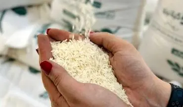 خبر رسمی درباره افزایش قیمت برنج اعلام شد (۱۷ اردیبهشت) 