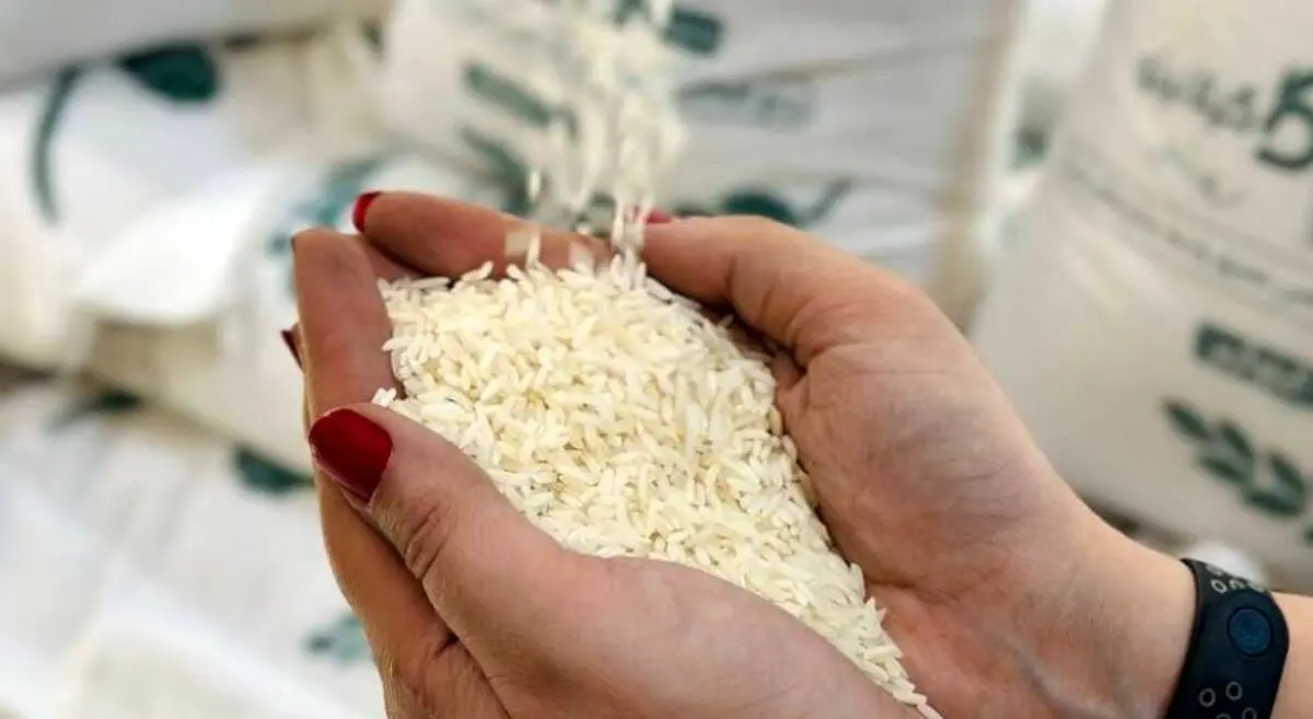   خبر رسمی درباره افزایش قیمت برنج اعلام شد (۱۷ اردیبهشت) 