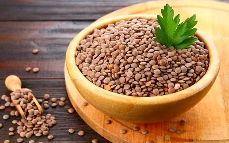 خواص عدس برای مو؛ جلوگیری از ریزش مو با عدس