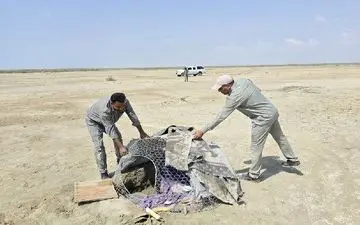 کشف ۲۷ پرنده زنده و دستگیری ۴ متخلف صید پرندگان شکاری در جاسک