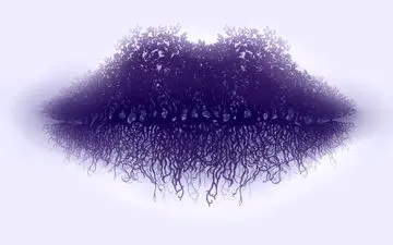 تست شخصیت شناسی| اولین چیزی که در تصیوری دیدی چه بود؟ 