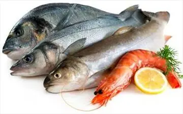 استفاده از ماده شیمیایی مغز ماهی برای درمان نابینایی