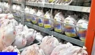  قیمت مرغ کاهش یافت/ اتحادیه پرنده و ماهی اعلام قیمت را متوقف کرد