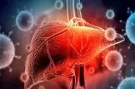 پیشگیری و غربالگری هپاتیت‌ها، کلید حفظ سلامت کبد