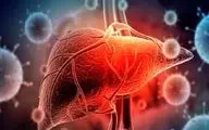 پیشگیری و غربالگری هپاتیت‌ها، کلید حفظ سلامت کبد