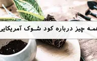 همه چیز درباره کود شوک آمریکایی