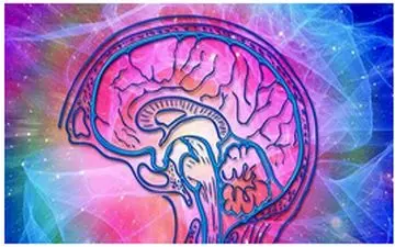 ارتباط احتمالی میان سرطان پروستات و بیماری اسکیزوفرنی