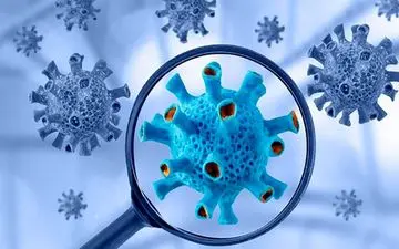 شیره تریاک بر بهبود کرونا اثر دارد؟