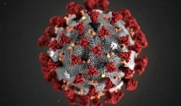 شناسایی سویه جدید ویروس کرونا در اسرائیل