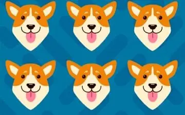 اگه خیلی تیزبین هستی بگو کدوم سگ با بقیه فرق داره ؟