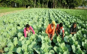 شبکه پرس تی وی از اوضاع «بنگلادش» خبر می دهد