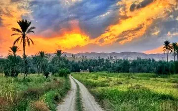 بهار واقعی را در قصرشیرین لمس کنید

