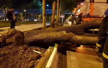 خسارت طوفان شب گذشته در چندین نقطه کرمانشاه
