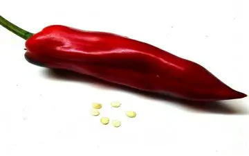 مواد غذایی پاک کننده عروق