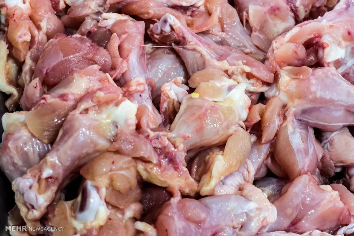 ترمز افزایش قیمت گوشت و مرغ کشیده شد