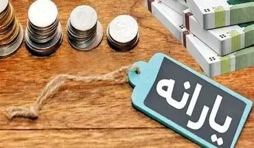 بررسی گزارش علمکرد سه ساله سازمان هدفمندسازی یارانه‌ها