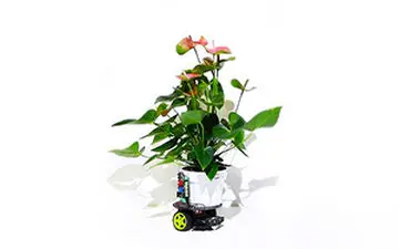 رباتی که هر گیاهی را آفتابگردان می‌کند