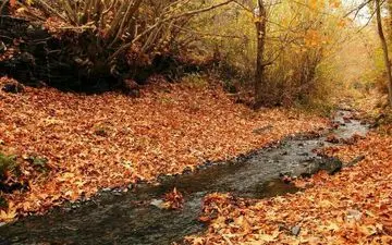 طبیعت زیبای پاییزی در طرقبه