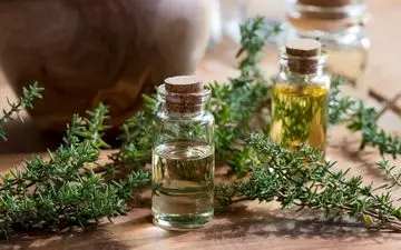 
بهبود علائم سرماخوردگی با این گیاه