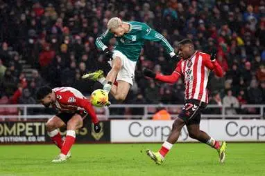 IMG_20260212_023816_273