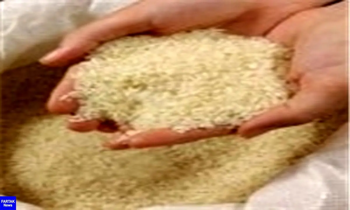 دبیر انجمن وارد کنندگان برنج از کاهش قیمت برنج خبر داد