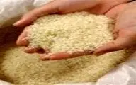  افزایش 10 درصدی قیمت برنج ایرانی در اسفندماه 