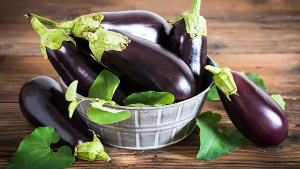 برای  کنترل قند خون خود حتما بادمجان بخورید!