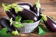 برای  کنترل قند خون خود حتما بادمجان بخورید!