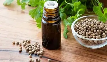 معجزه روغن فلفل چیلی برای بیماران دیابتی!