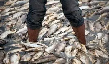 بلاتکلیفی ۱۴ ساله مجتمع پرورش ماهی دوآب شهرستان سلسله
