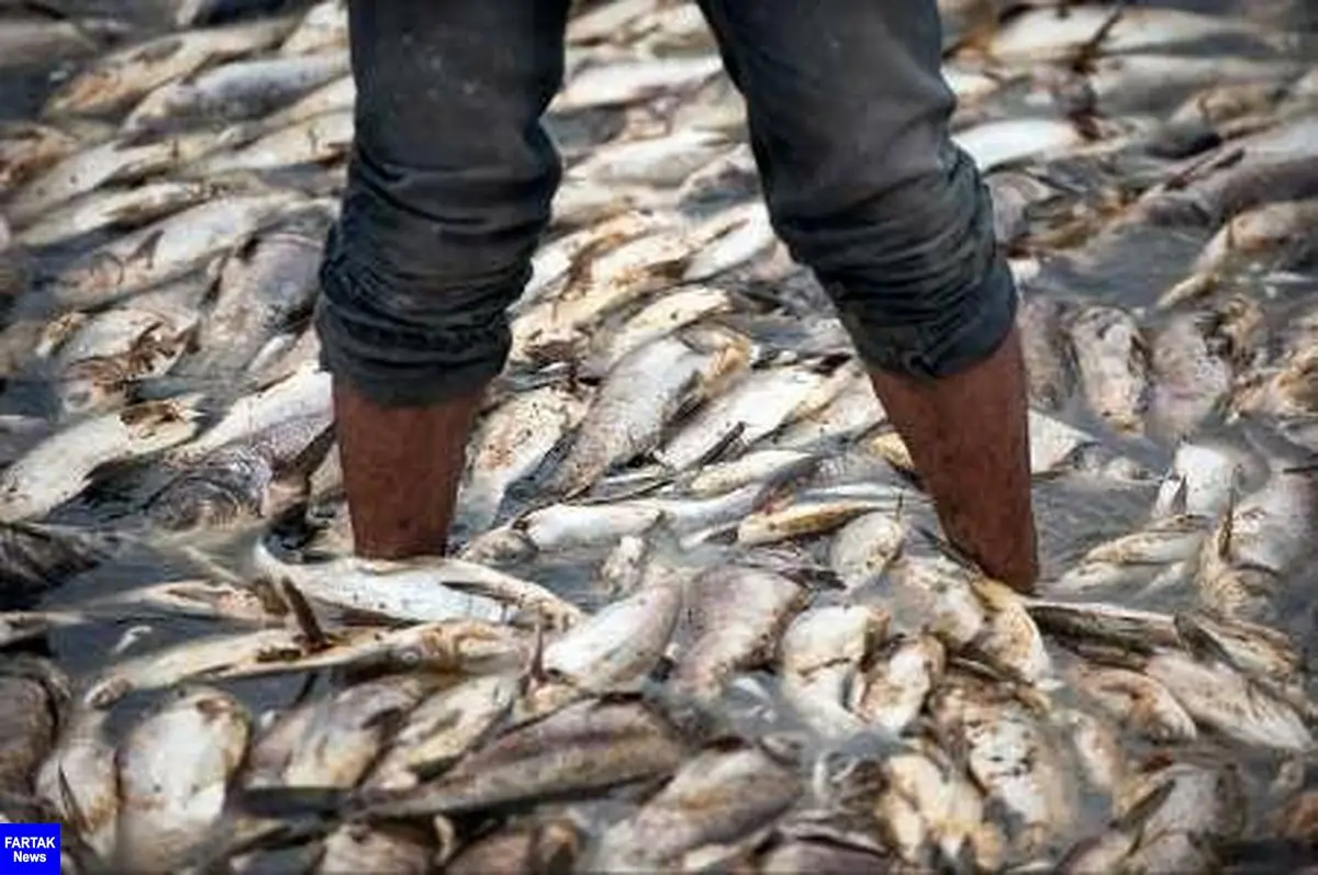 بلاتکلیفی ۱۴ ساله مجتمع پرورش ماهی دوآب شهرستان سلسله