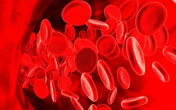 نسخه خانگی برای کنترل چربی خون