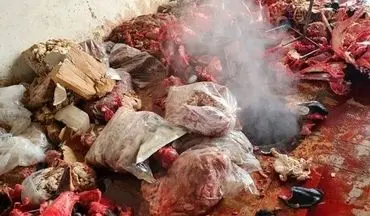 کشف و امحاء بیش از ۱۵۰۰ کیلو گوشت غیرقابل مصرف