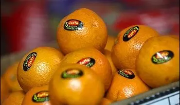 نامه اعتراضی مجلس به دولت درباره واردات میوه شب عید 