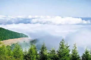 آتش‌سوزی در جنگل ابر شاهرود + ویدئو