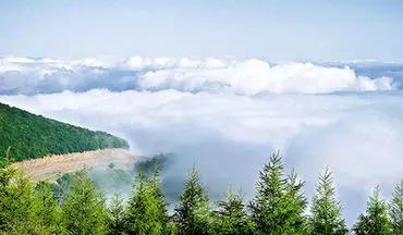 آتش‌سوزی در جنگل ابر شاهرود + ویدئو