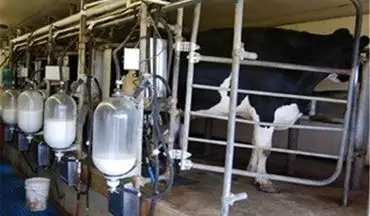  افزایش قیمت شیر با هدف واردات شیر خشک