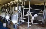  افزایش قیمت شیر با هدف واردات شیر خشک