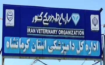 
صدور گواهی حمل مرغ زنده کشتاری به بخش خصوصی واگذار شد