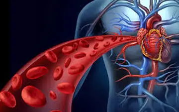 راه های بهبود جریان خون در بدن را بشناسید 