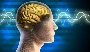 افزایش مرگ و میر در کسانی که مغز پیری دارند