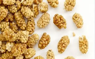 از فواید توت خشک چه می دانید؟